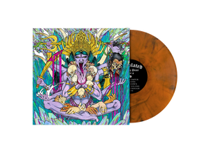 Desolated - Finding Peace Vinyl/CD