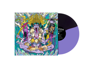 Desolated - Finding Peace Vinyl/CD