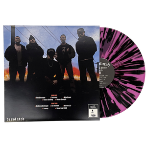 Desolated - Finding Peace Anniversary Vinyl – MLVLTD MUSIC